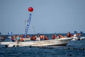 新经济观察丨巨头携手原产地开捕迎丰收，小海参撑起千亿产业链图片
