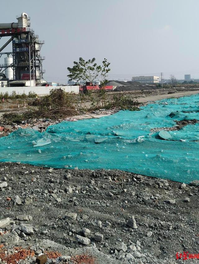 男子殴打92岁母亲被刑拘，邻居称事后老母亲曾拿500元想保儿子回家：宠得不得了，要什么就给什么