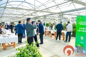 胶州胶莱街道举办乡村振兴主题书画笔会图片