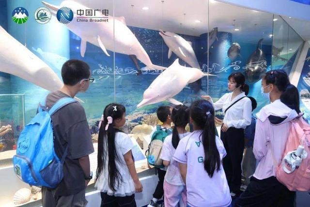 红树林、白海豚、非遗“鹤舞”，珠海这场自然教育藏着多少惊喜？