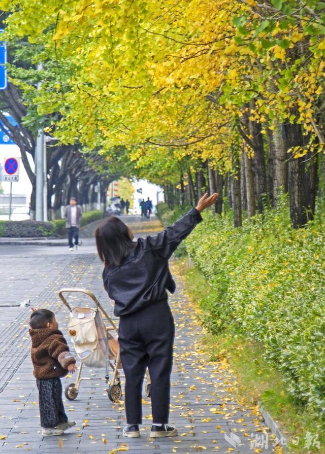 恩施市：山城冬韵秋色惹人醉