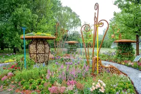 首都市民花园周开幕，30座市民花园亮相海淀公园图片