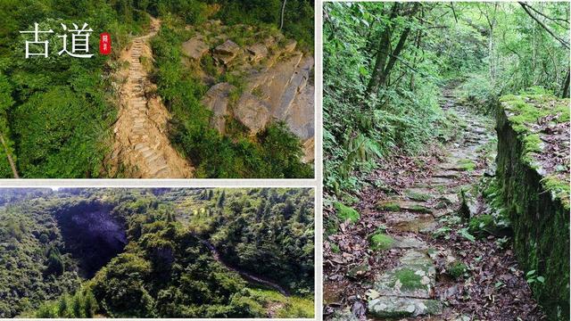 万里茶道鹤峰段申遗之路成果发布