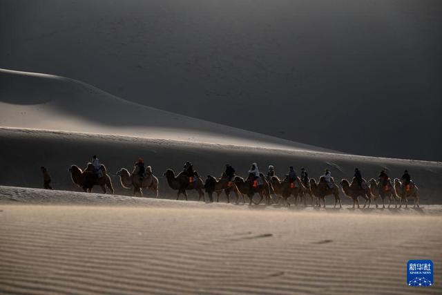 甘肃敦煌：大漠驼影