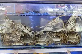 即将大量上市！很多南昌人爱吃……医生提醒图片