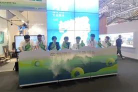 文博会河源馆启动，向客商展示绿色生态崛起成效图片