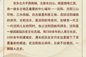 向阳之城 文脉千载 | 沈阳：上下七千年图片