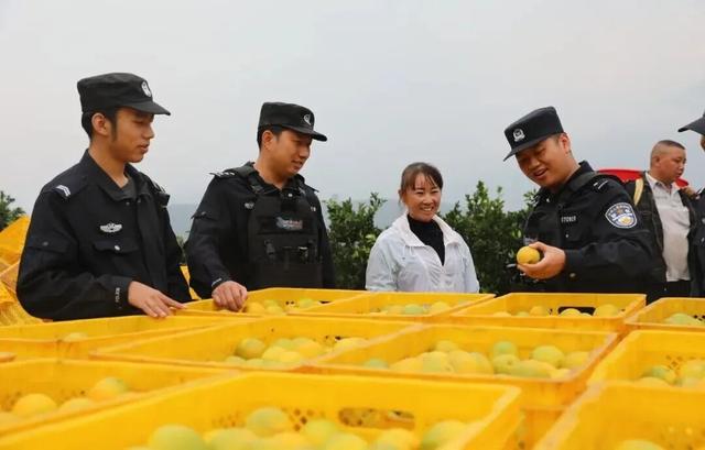 赶紧来玉溪！你就认得格“处得橙”、格“整得成”啦~