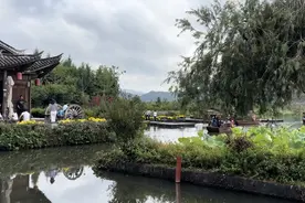 高质量发展调研行——记滇西大地上人与自然和谐共生的和顺古镇篇章图片
