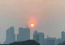 要在新加坡生活，你必须先学会怎么在咖啡店“叫水”