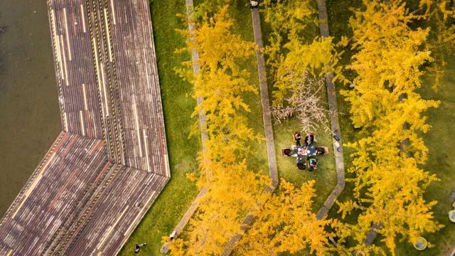 又是一年秋好处