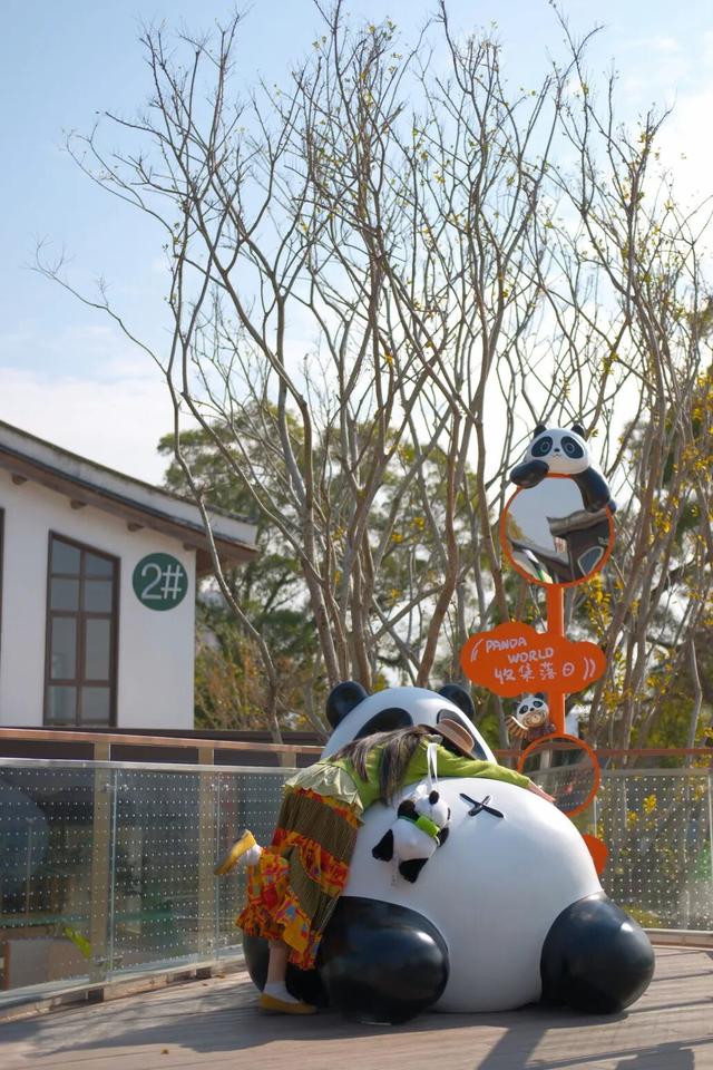 欢迎来到熊猫的家！保姆级攻略请收好！