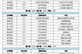 九家中国AI公司跻身全球30强，但它们还面临这些问题图片