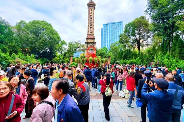 深秋，人民公园菊花展迎万人赏花打卡