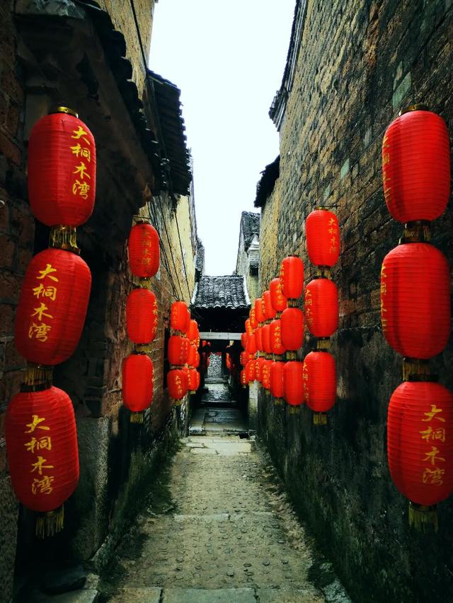 千年银杏韵，金黄满地诗，金色海洋游玩攻略来了！