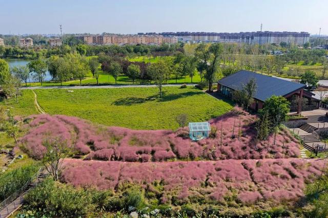 心动！宿城又涨“粉”了