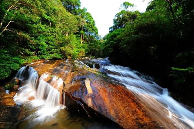 收藏了！看龙岩武平这些“绿野仙山”