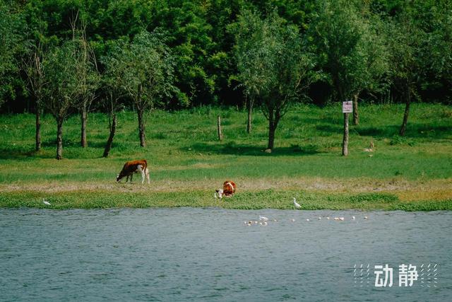 来“爽居”心仪之地贵阳，共赴一场跨越山海的热情相约