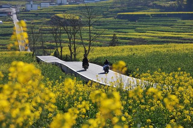 席位满员 开赛在即｜与临翔的春天，只差一个起跑的距离