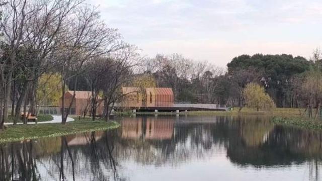 开园即出圈！新建横沔公园开放半个月，单日游客量最高近1万，魅力到底在哪儿