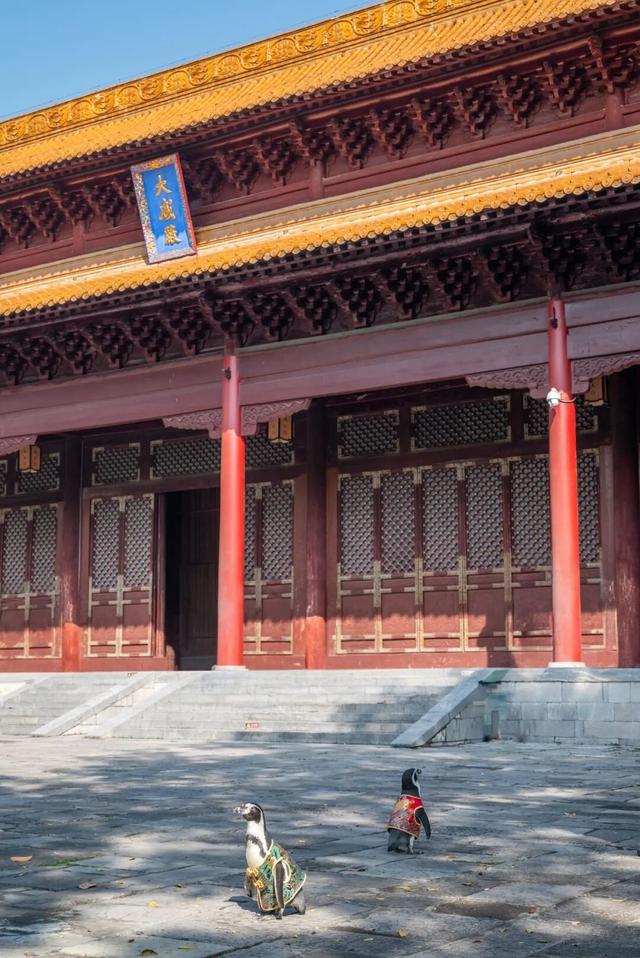 您的QQ已在朝天宫登录！