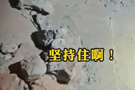 地震废墟中传来清晰敲击声！连敲5下，求生意志强烈……图片