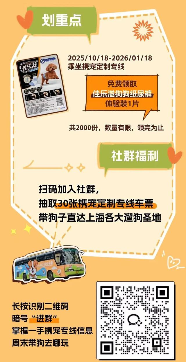 3000㎡！属于萌宠的gogoland帮你找到了！