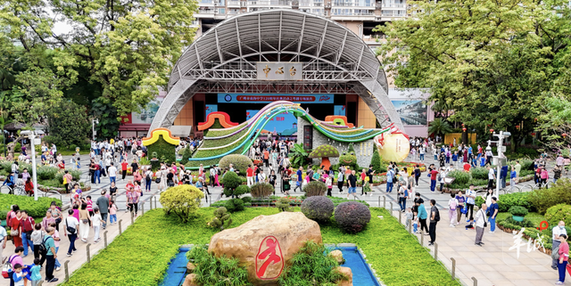 11月，如何畅游广州荔湾？活动一览表来啦