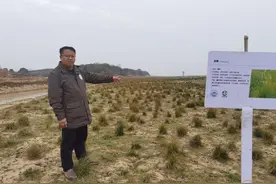 鄱阳湖为超60万只候鸟“备菜”促人鸟和谐图片