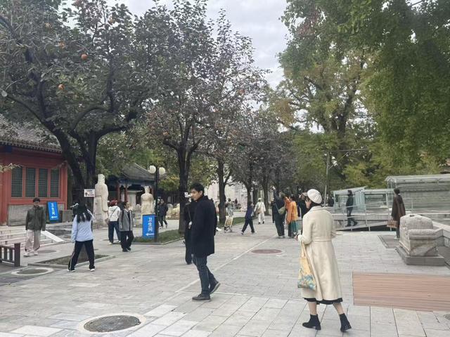 游客为柿子而来，五塔寺里有一处网红拍照点