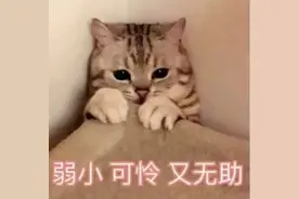 这周又得体测了？！大学生：又到了一年一度两眼一黑的时刻……图片