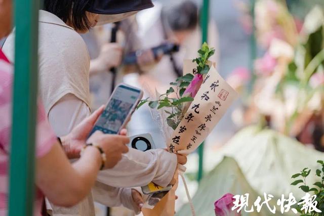 苏州观前荷花市集开市啦