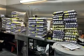 因美国“蛋荒”美墨边境鸡蛋走私犯增加，美海关：首次罚款300图片