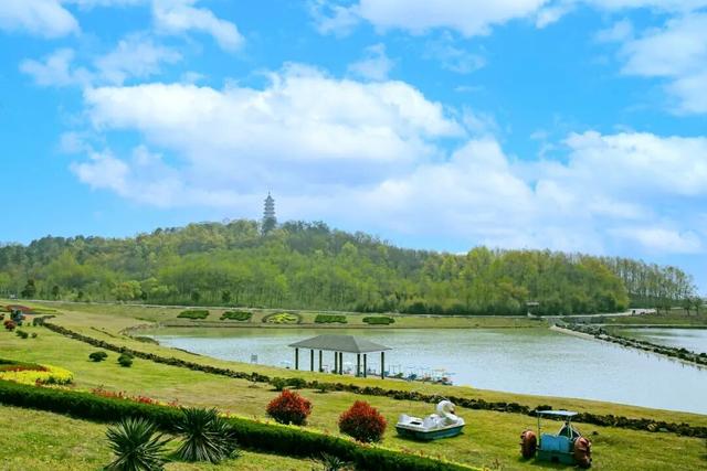 限时免费！江北有7家！