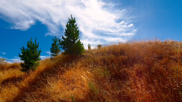 河南多家景区最新免门票活动来啦！
