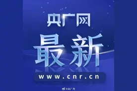 美撞机客机的两个黑匣子已被找到图片