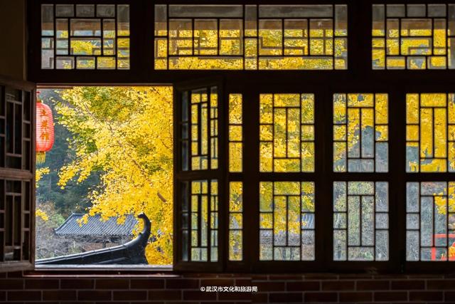 清凉寨“赏秋季”引爆武汉周边游：周末单日游客破万，银杏窗景意外走红