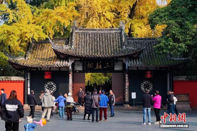 四川眉山：古祠金叶舞 诗意醉游人