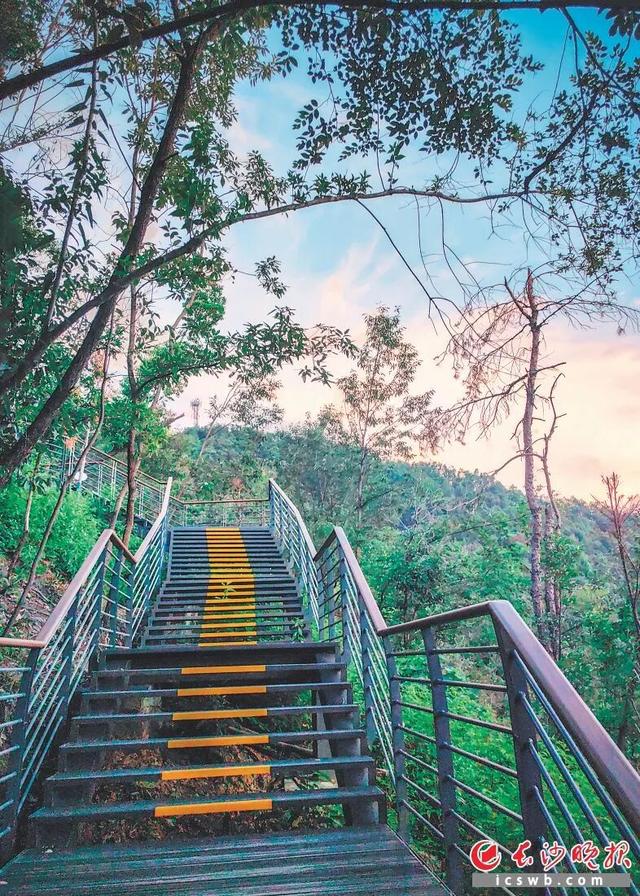 一峰瞰三地，在雨花望见长株潭的未来