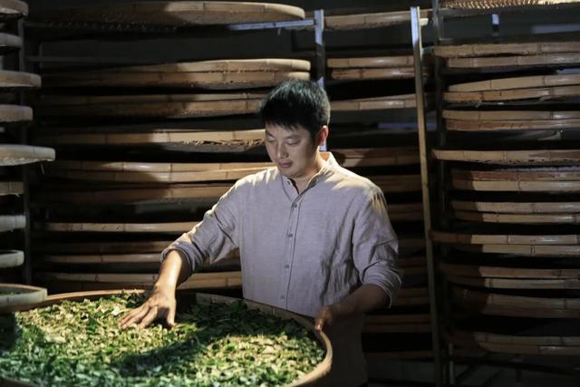 全是干货！逛市集、游茶船、学茶课！茶文化旅游节游玩指南→