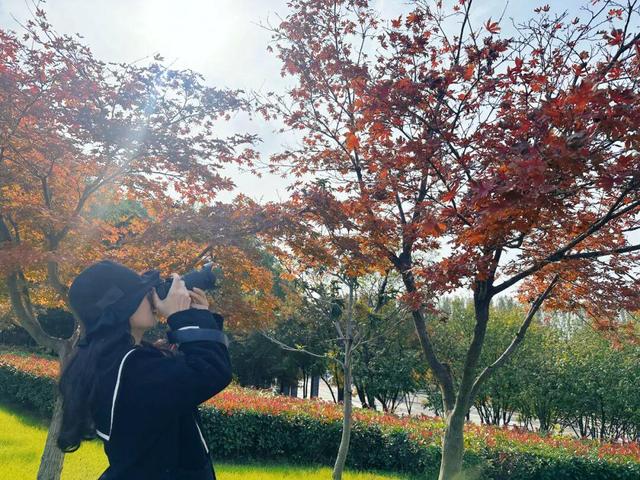 红了~红了，来宿城追“枫”！