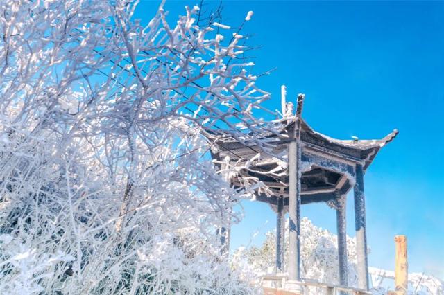 来清远的理由，不止这一个