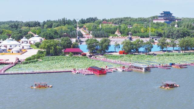 文明赏花 共护美景