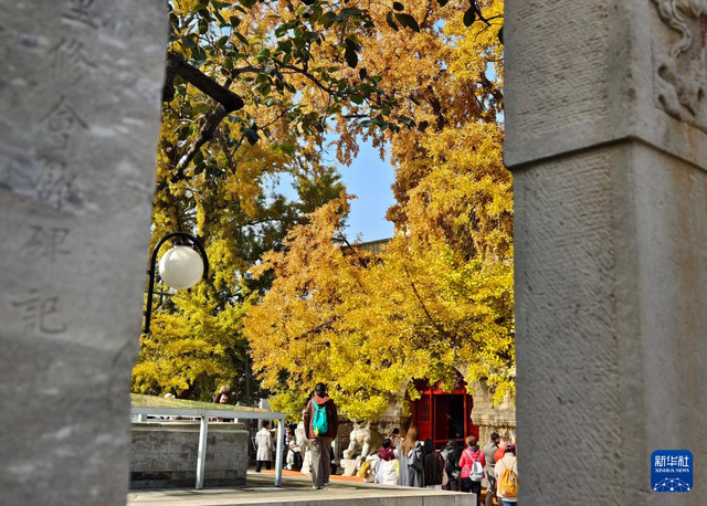 北京：五塔寺秋色浓