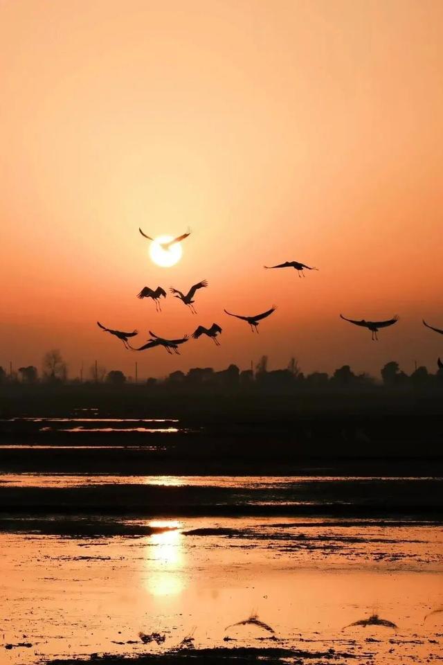 跟着课本游赣鄱！