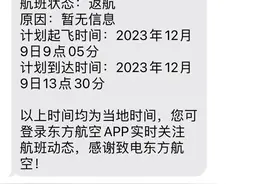东航一航班空中放油后备降浦东，最新进展图片