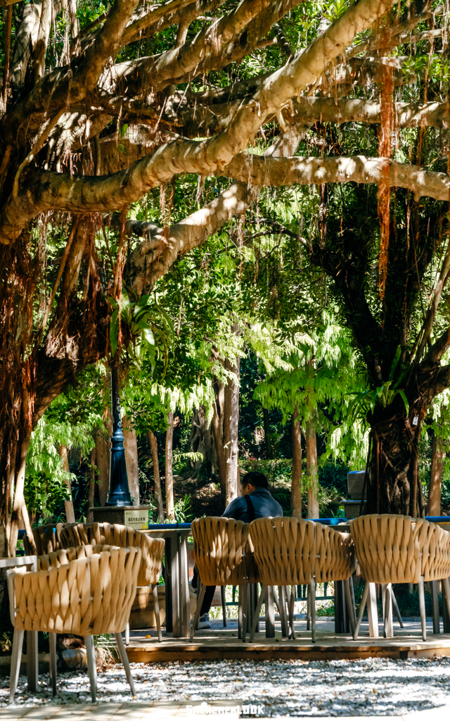 开在公园里的玻璃书房 · 深圳新安静空间