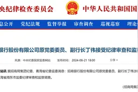 资产超11万亿银行，原副行长丁伟被查！图片