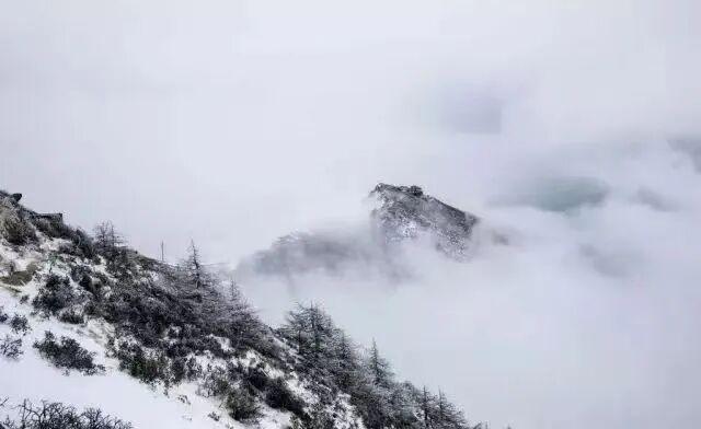 来太白山过冬吧！