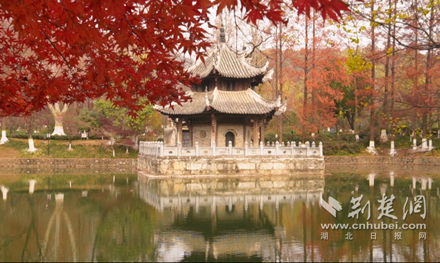 这5处宝藏景点 邀您一起邂逅诗意襄阳